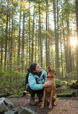 Portrait of a Eurasian girl stopping to pet her Vizsla dog while hiking in a forest. North Vancouver, British Columbia, Canada