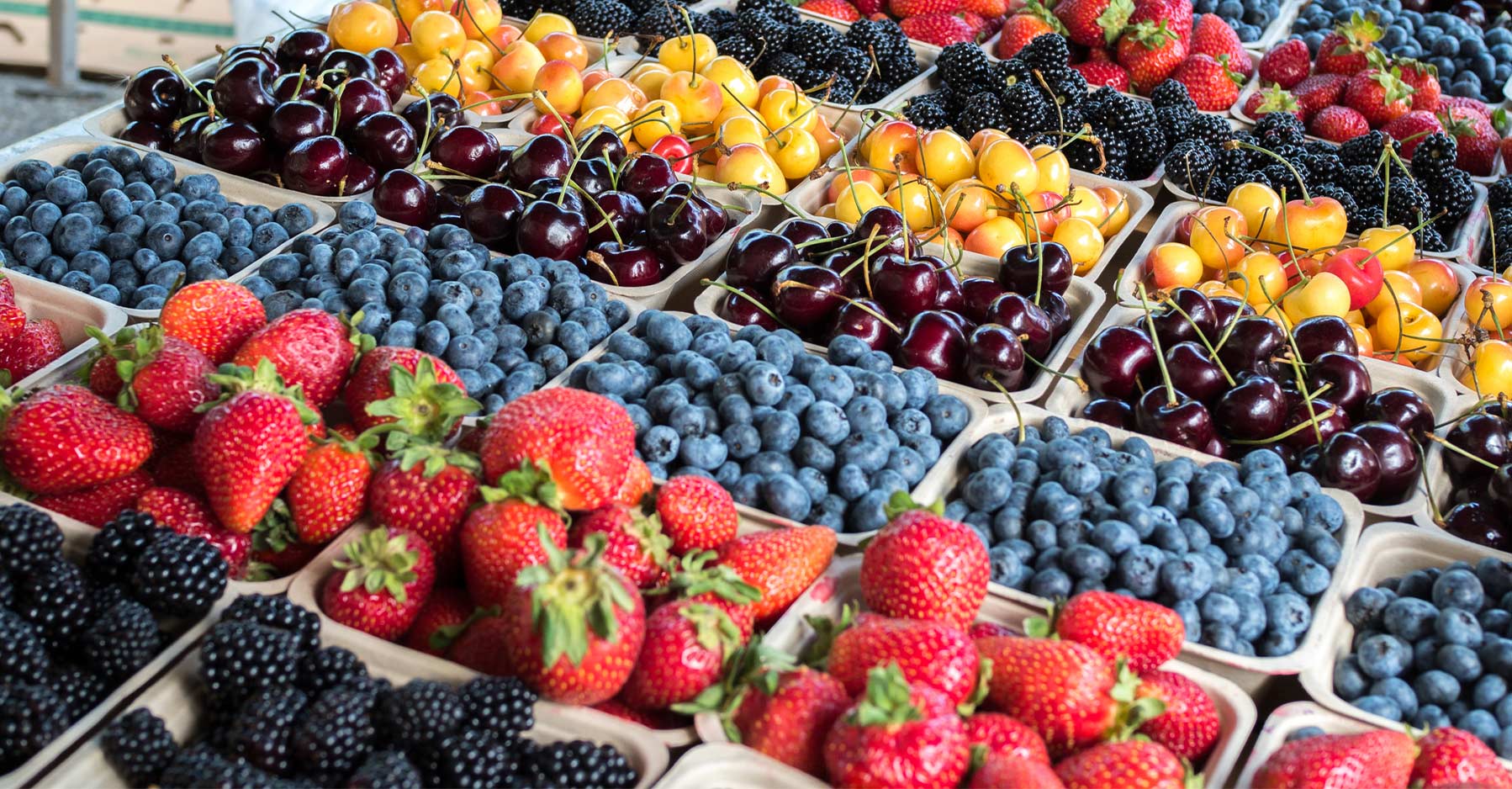 Local Grown Organic Fresh Berries and Cherries at Farmers Market